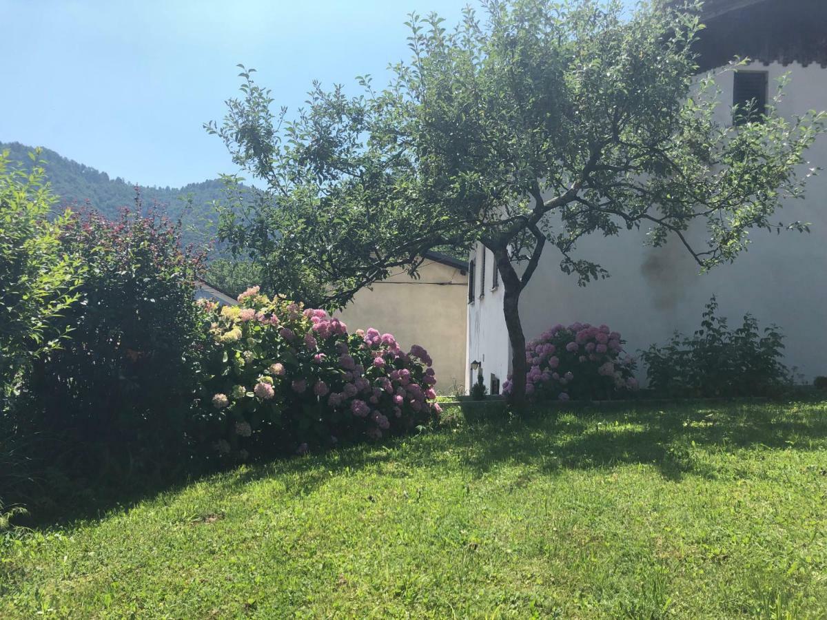 Apartment Olivia Sella di Volzana المظهر الخارجي الصورة