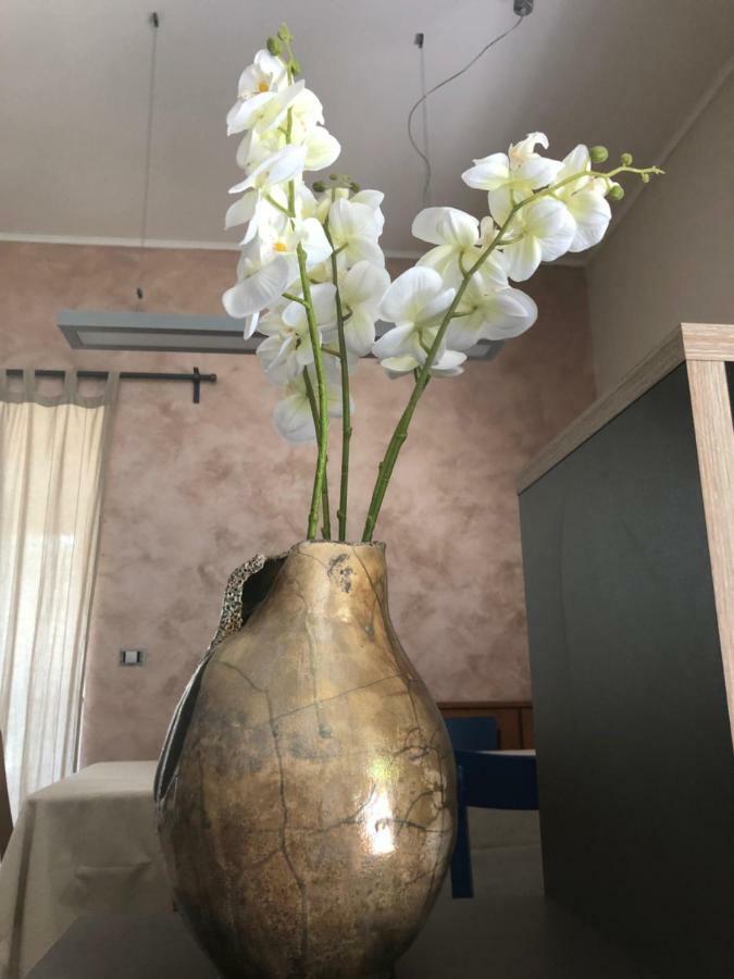 Apartment Olivia Sella di Volzana المظهر الخارجي الصورة